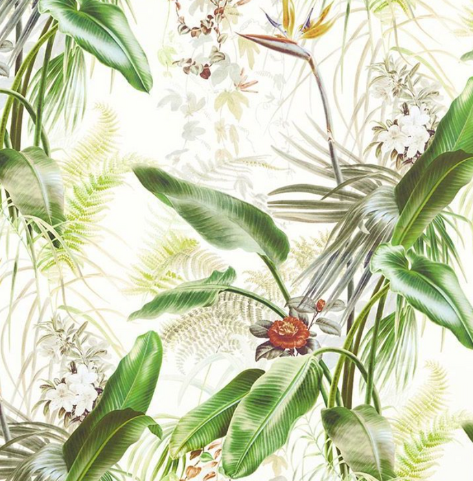 Zoffany Wallpaper - Kensington Walk- Paradise Row - Evergreen