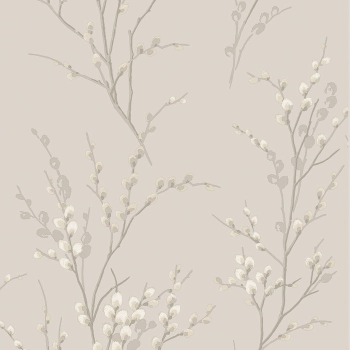 Laura Ashley Pussy Willow Wallpaper - Dove Grey