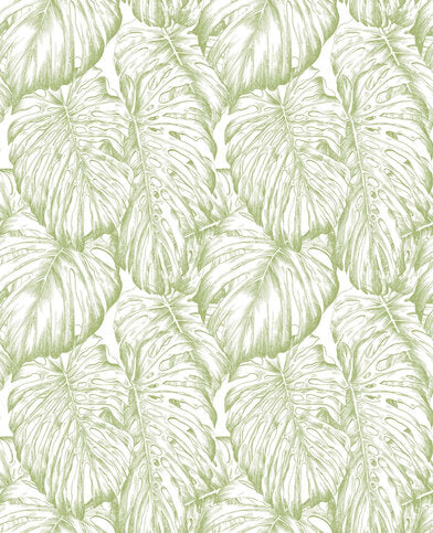 Graham & Brown Hybrid Tropical Wallpaper