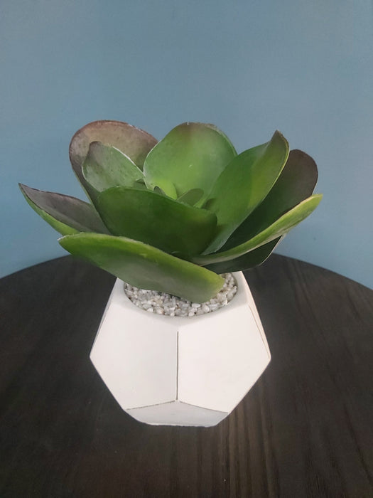 Artificial Large Fiori White Cement Succulent Pot