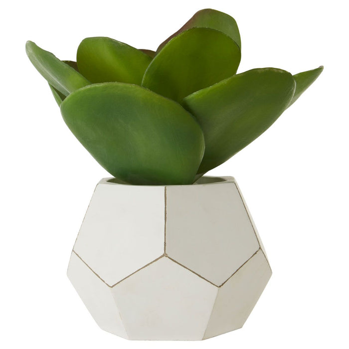 Artificial Large Fiori White Cement Succulent Pot