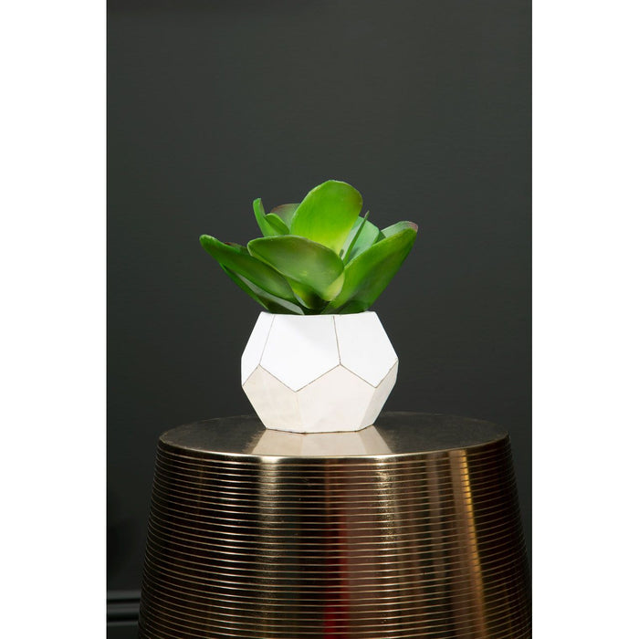 Artificial Large Fiori White Cement Succulent Pot