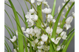 Decor Interiors - Artificial Grass With White Flowers - Decor Interiors -  House & Home