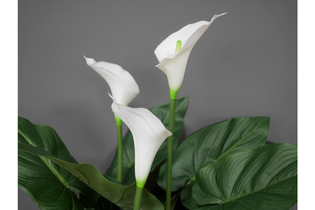 Artificial White Lily's Plant - Decor Interiors -  House & Home