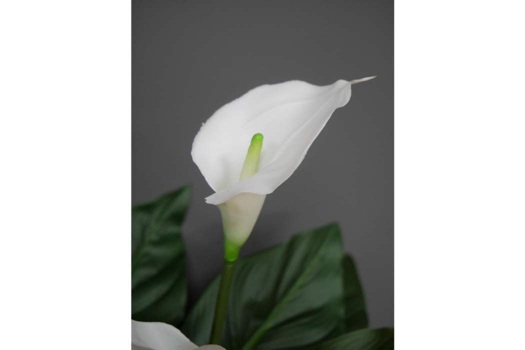 Artificial White Lily's Plant - Decor Interiors -  House & Home