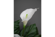 Artificial White Lily's Plant - Decor Interiors -  House & Home