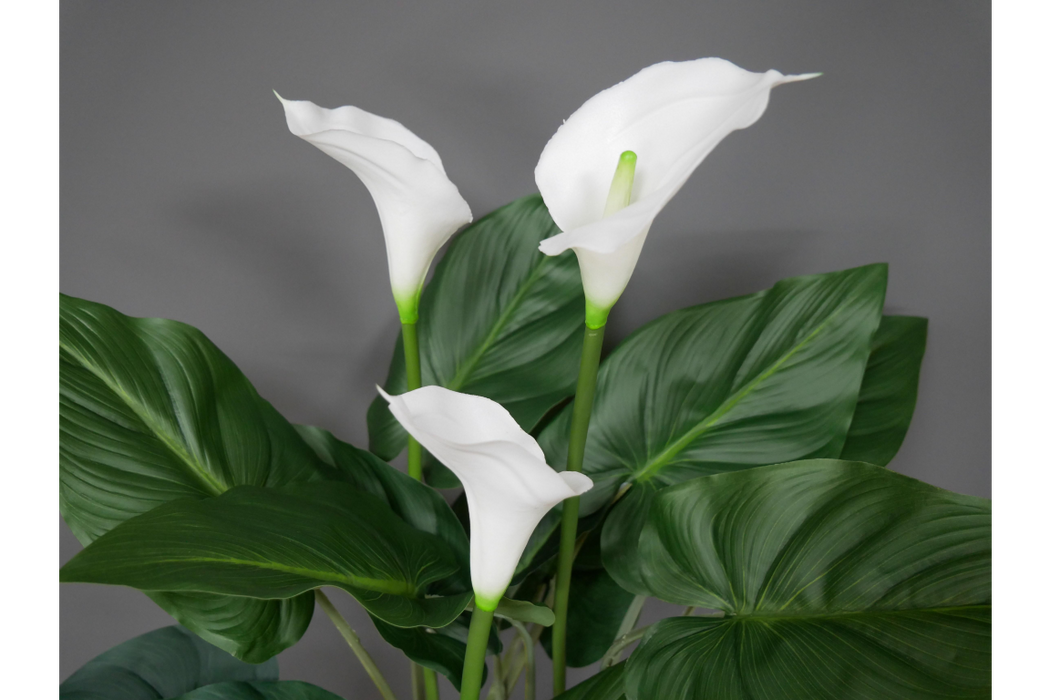 Artificial White Lily's Plant - Decor Interiors -  House & Home