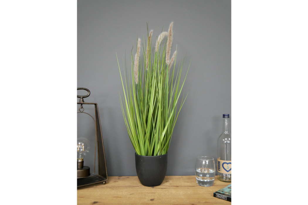 Artificial Foxtail Grass - Decor Interiors -  House & Home