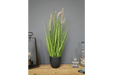 Artificial Foxtail Grass - Decor Interiors -  House & Home