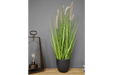 Artificial Foxtail Grass - Decor Interiors -  House & Home