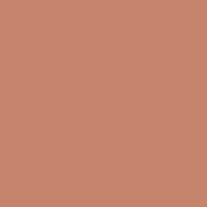 Graham & Brown Paint - Sienna