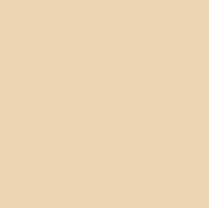 Graham & Brown Paint - Peach Pit