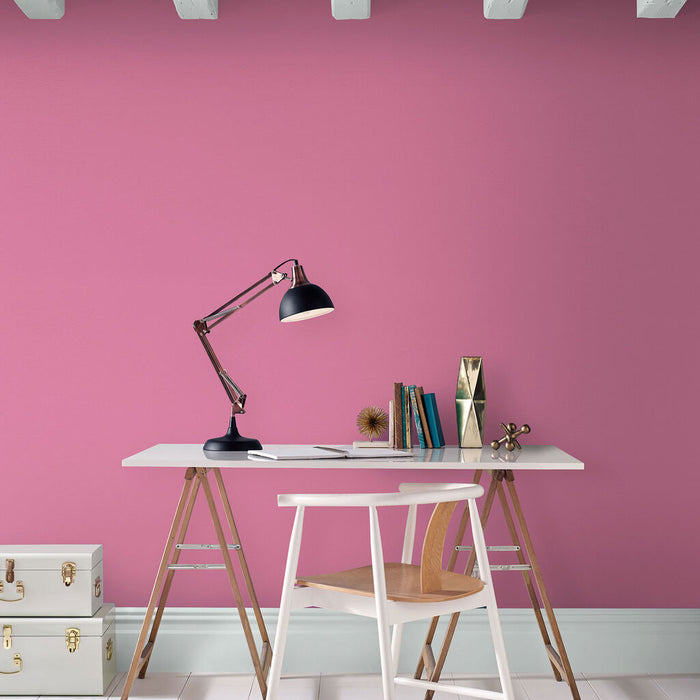 Graham & Brown Paint - Pink Robin