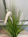 Artificial Foxtail Grass - Decor Interiors -  House & Home