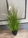 Artificial Foxtail Grass - Decor Interiors -  House & Home