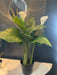 Artificial White Lily's Plant - Decor Interiors -  House & Home